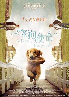 精品一区二区免费视频