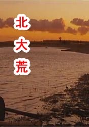 国产三级视频在线观看视主播