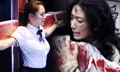 日韩成人小视频