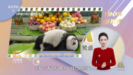 逼的图片